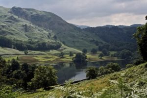 11049248603 A42D188D35 Z