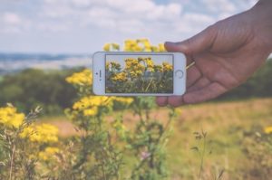 hand apple camera field