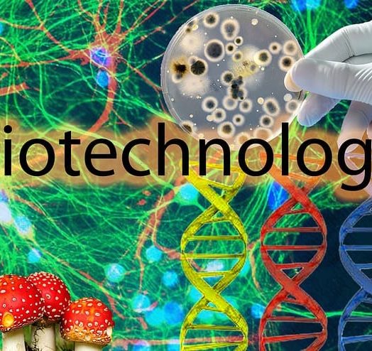 6809681340 72Da234044 Z