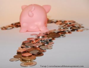 11088028775 266abec987 z