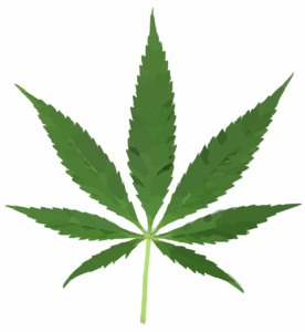 Cannabis 297097 1280