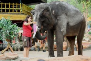 adult animal animal photography 1396407