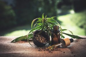 cbd 4469987 640