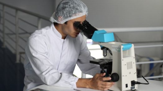 adult biology chemical chemist 356040
