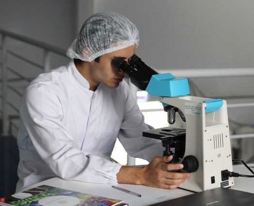 adult biology chemical chemist 356040